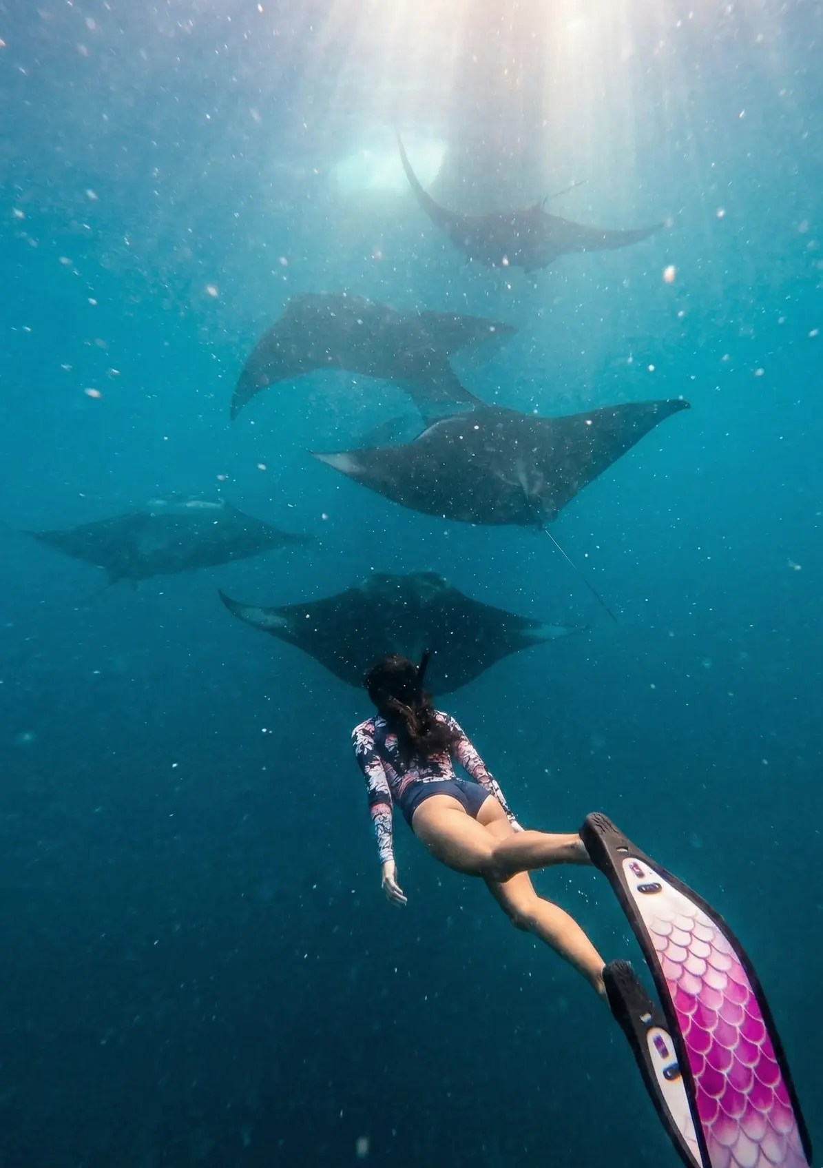 Dharavandhoo Snorkel
