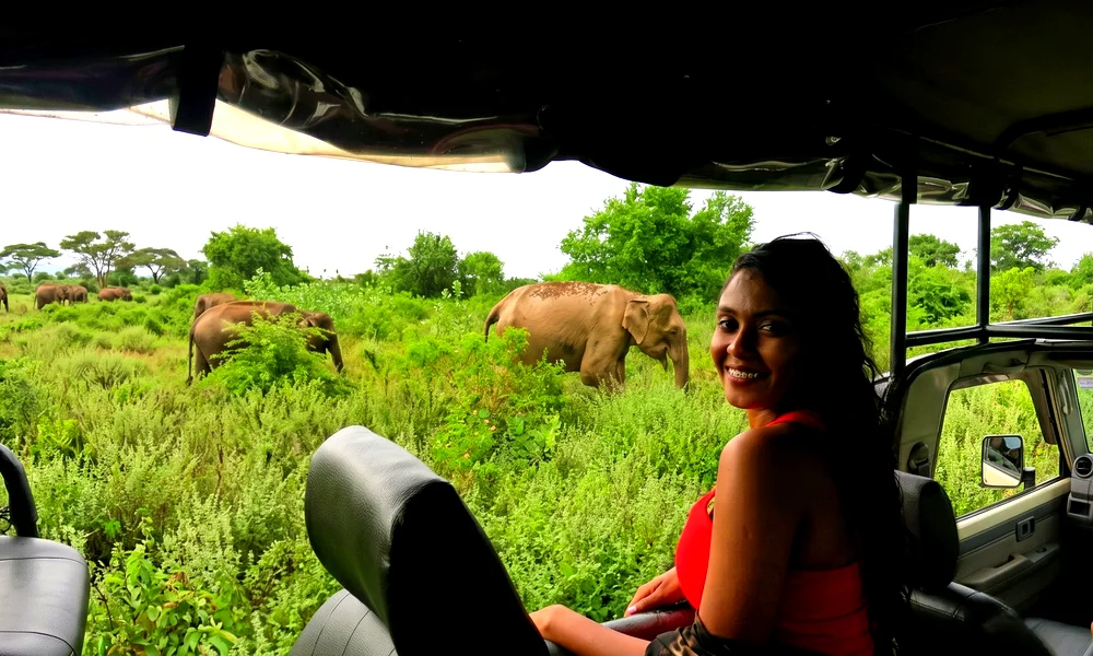 Safari Yala