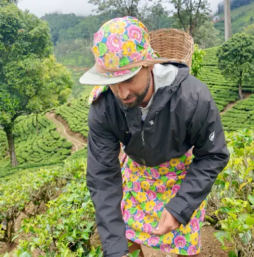 Té