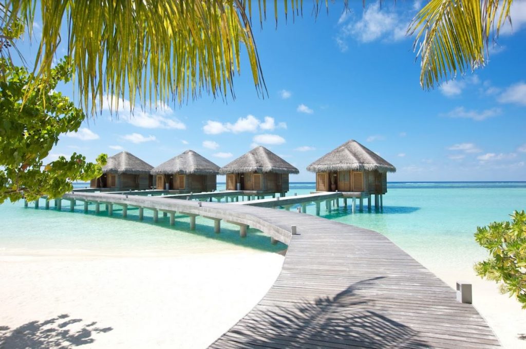 lux-south-ari-atoll-maldives-diving-utopia